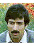 حیدر نیکو