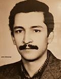 امیر میرعرب بایگی