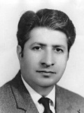محمد رضا عاملی تهرانی