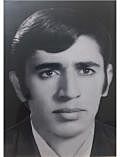 حسام یگانه