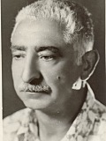 محمد خان ضرغامی باصری