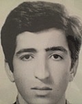 امیر ساعد نعمت اللهی