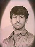 حامد وکالت