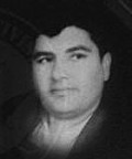 رضا سبزواری