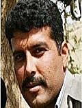 شیرکو معارفی