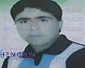مهدی کاظمنیا