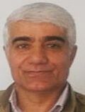 محمد حسنپور
