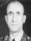 رضا ناجی