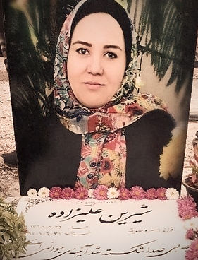 شیرین علیزاده