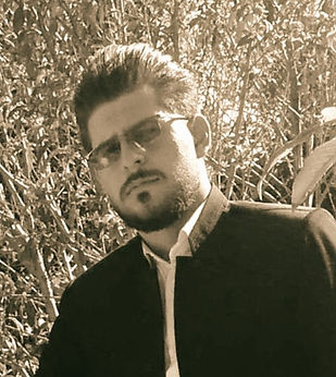 رضا لطفی