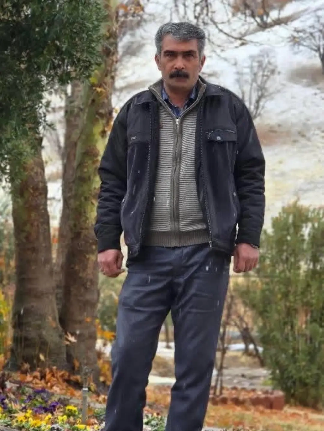 محمد گلی