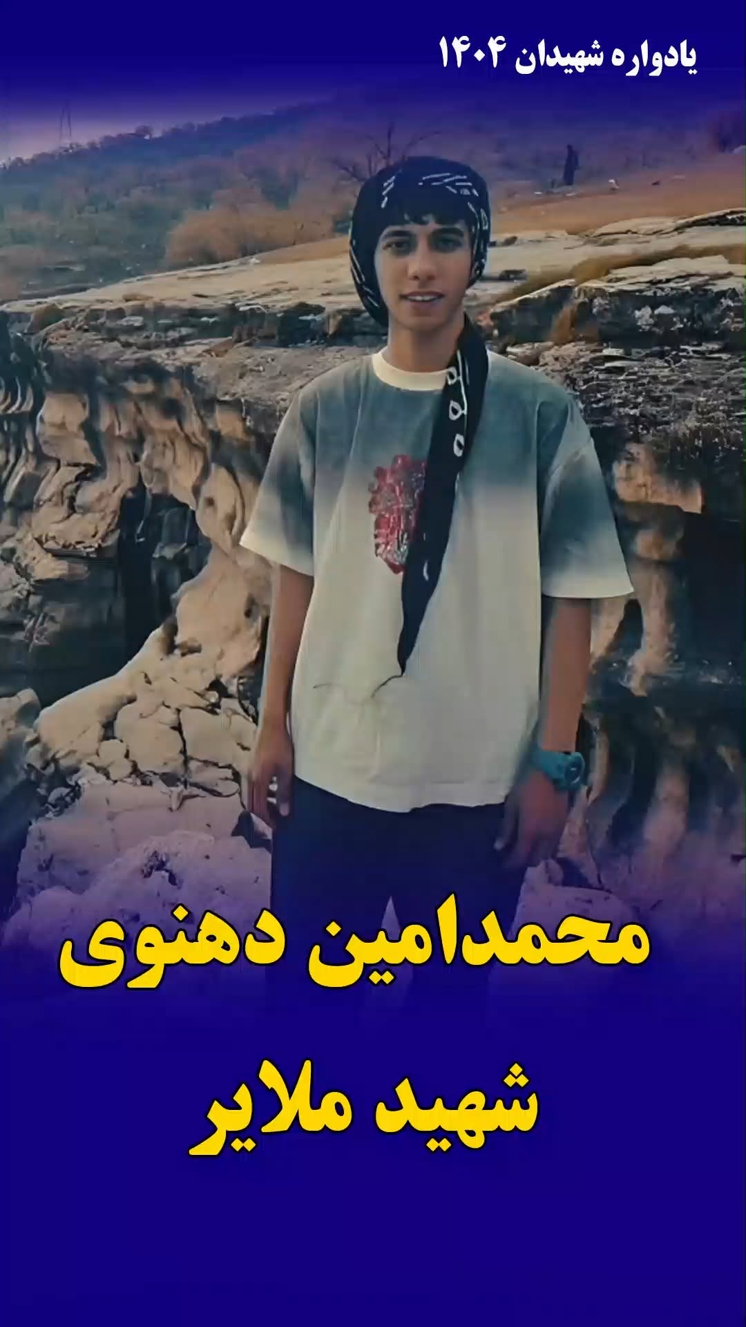 محمدامین دهنوی