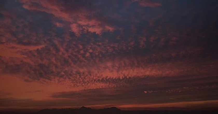 محمدامین جبلی — تصویر 5